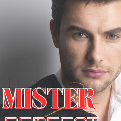 MISTER PERFECT