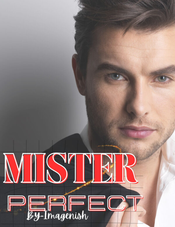 MISTER PERFECT