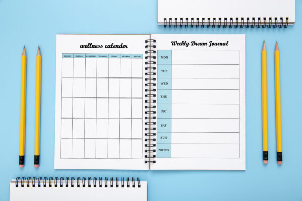 Printable Wellness Planner-DP015