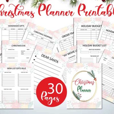 600-600 Christmas Organizer, Holiday Planner, Christmas Binder, Christmas Planner Printable-DP040
