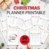 600-600 Christmas Planner Notebook, Holiday Planner, Christmas Binder, Gift Planner-DP042