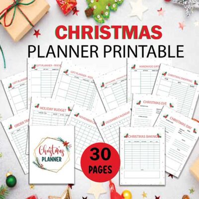 Christmas Planner Notebook, Holiday Planner, Christmas Binder, Gift Planner-DP042