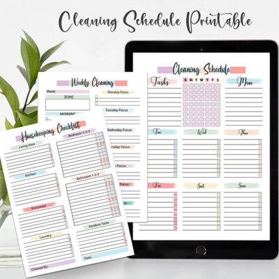 600-600 Cleaning Planner Editable, Cleaning Planner Printable, Cleaning Checklist,Monthly Cleaning-DP047